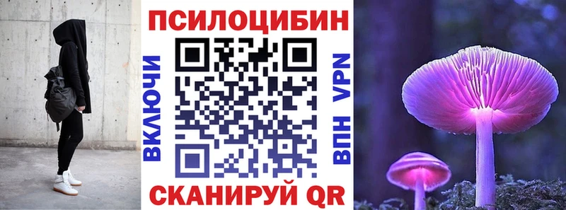 купить   Севастополь  Псилоцибиновые грибы мицелий 